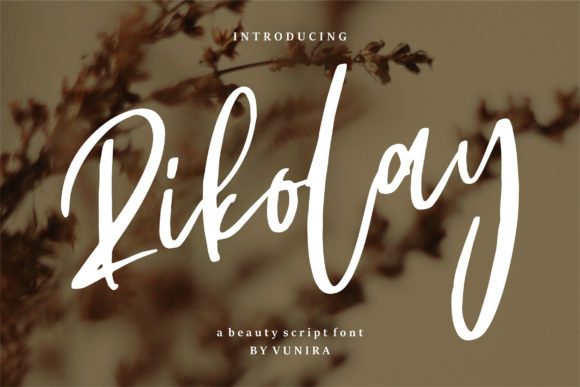 Rikolay: The Bold Script Font for Viral Branding