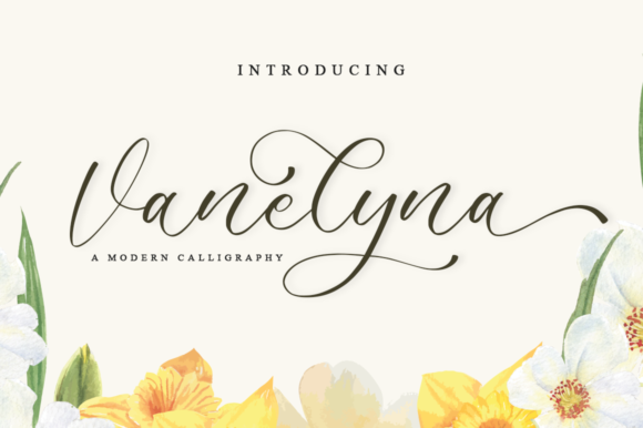 Vanelyna Font Review: Elevating Campaign Visuals